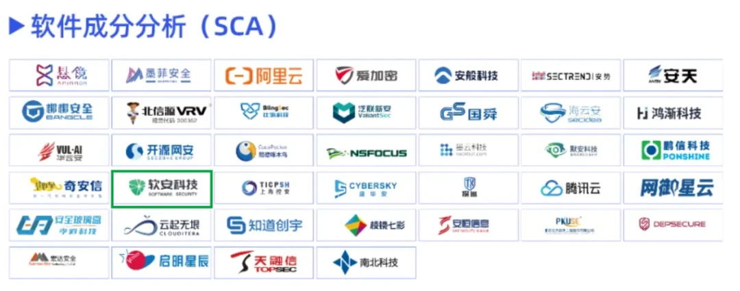 Software composition analysis section in the CCSIP panorama
