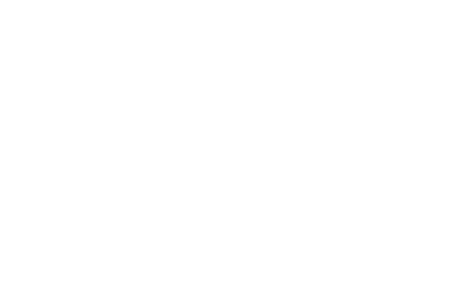 SemiDrive